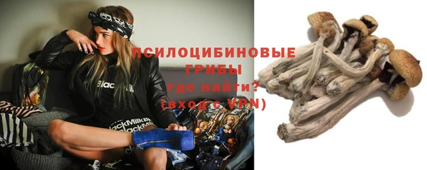 прущая мука Верхний Тагил