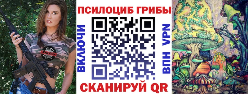 Купить  Осташков  Галлюциногенные грибы Psilocybine cubensis 